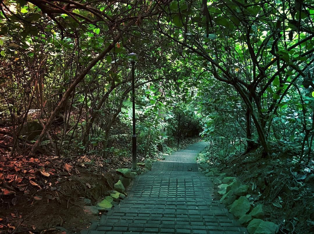 Unsolved Crimes - Linda Chua